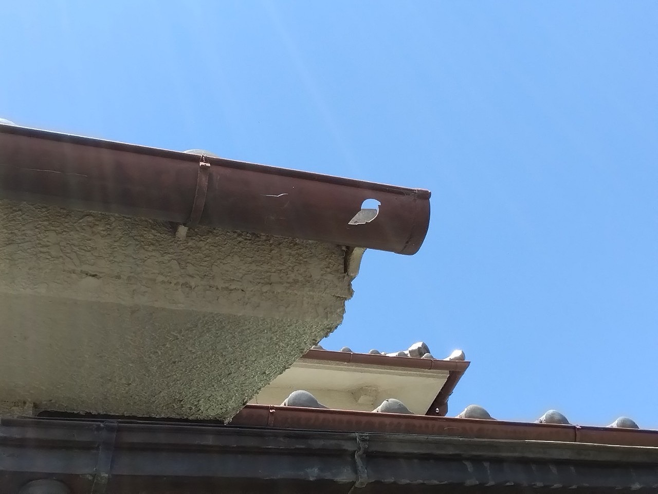 明石市　ひょう災害　雨樋の軒樋(半丸)穴開き