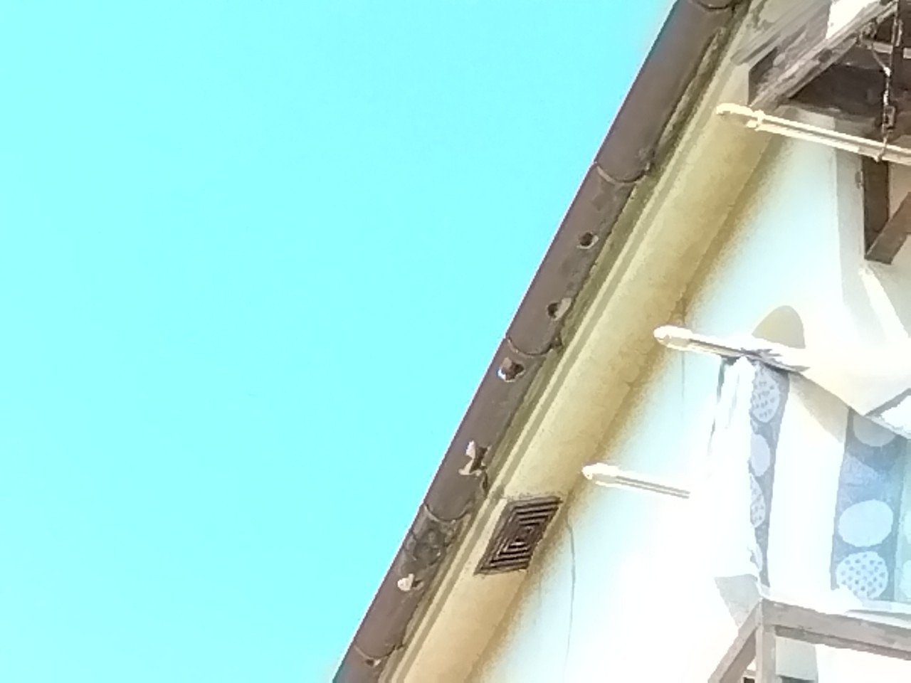 神戸市西　雹被害　軒どい穴開き