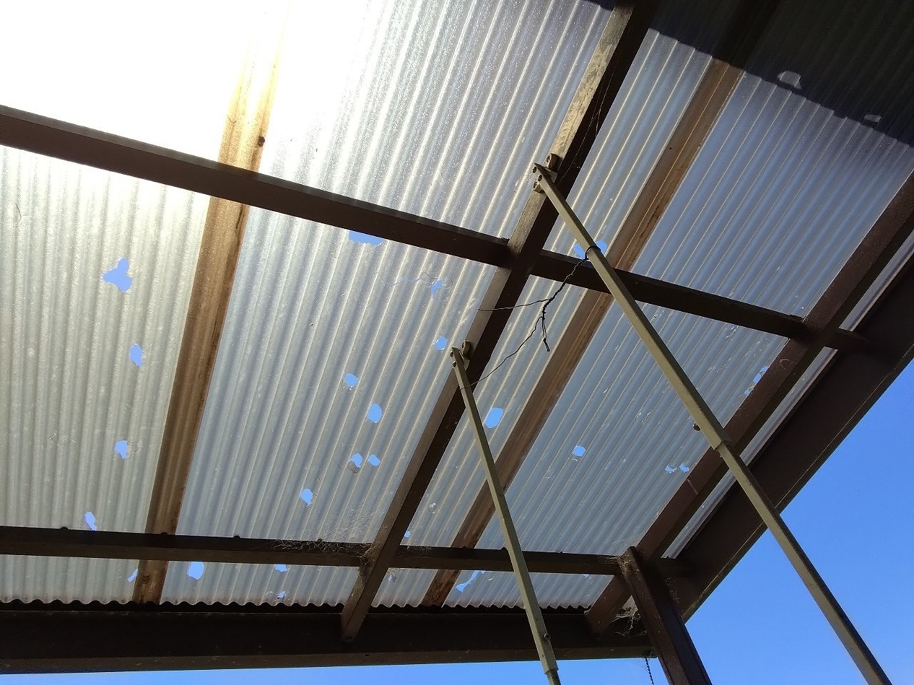 明石市　雹被害でナミイタ穴開き