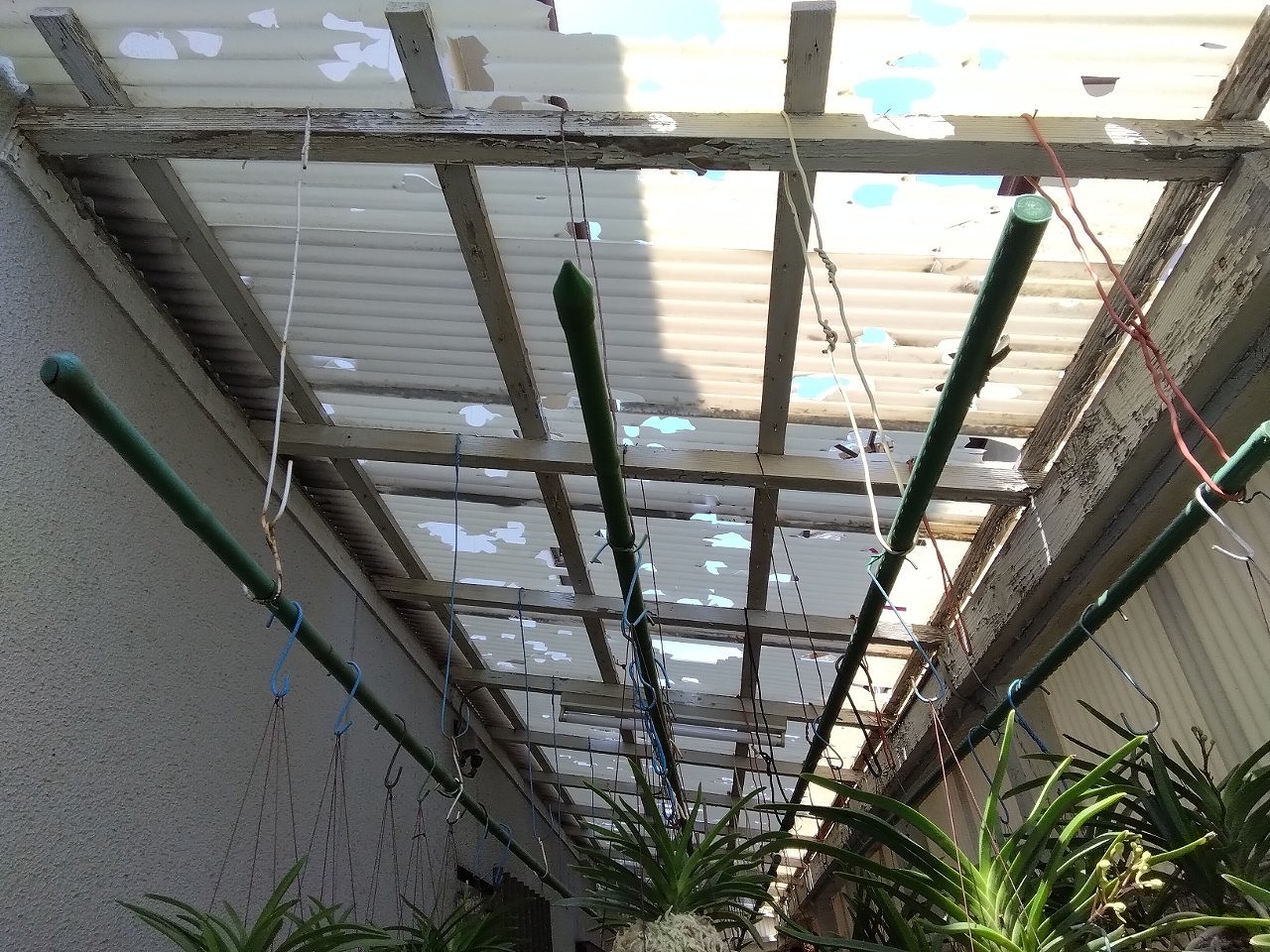 加古郡播磨町　波板ポリカ雹被害　見た目、蜂の巣のよう