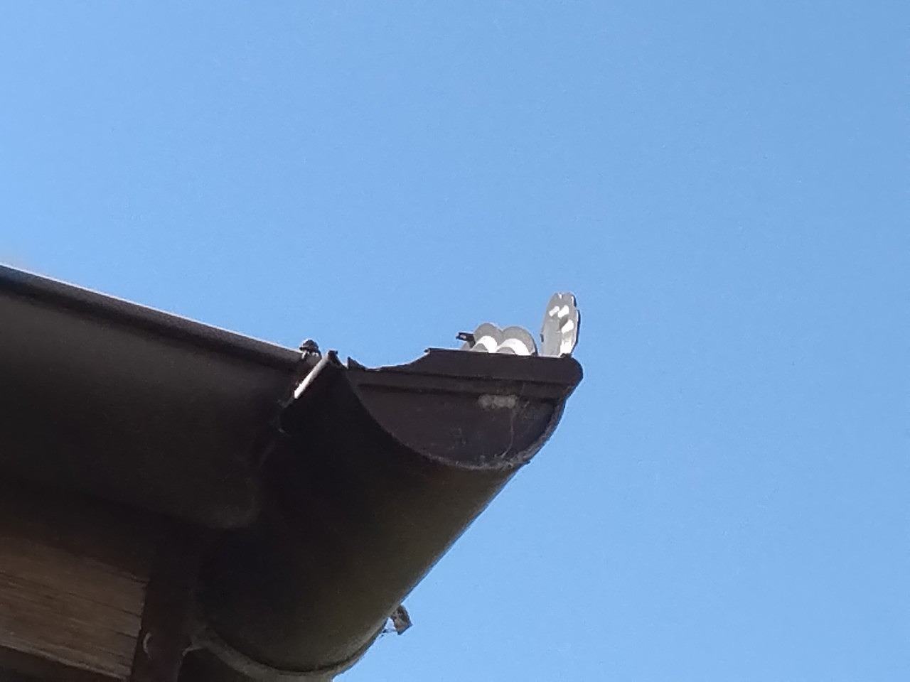 高砂市　雹災害　軒どい　止まり割れ