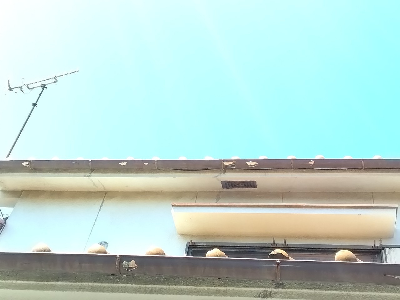 神戸市西　雹被害　軒とい(半丸)多数の貫通