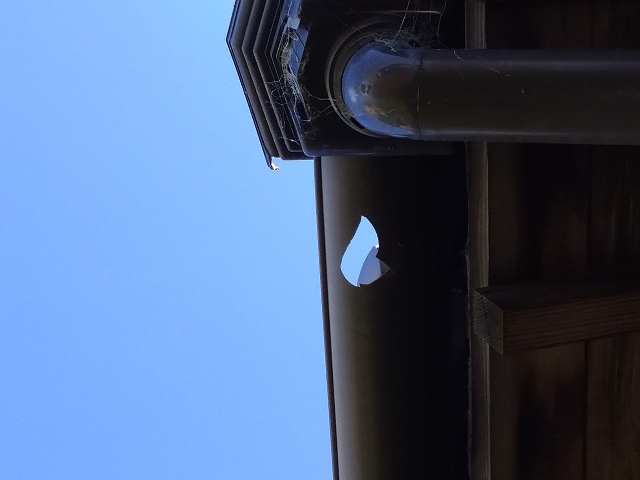 高砂市　雨樋　上合(集水器)付近に樋穴あき