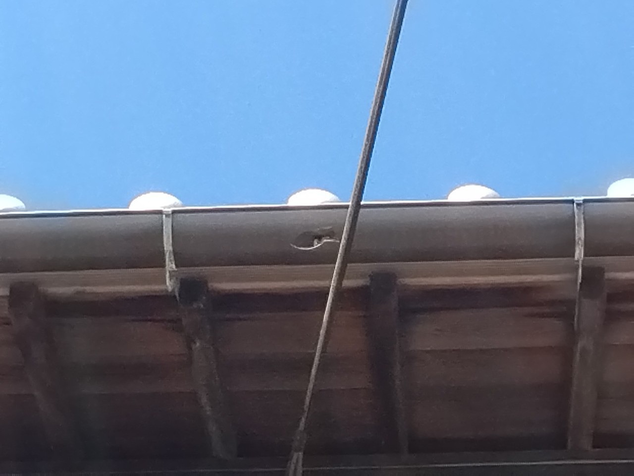 高砂市　雹災害　半丸軒樋　貫通