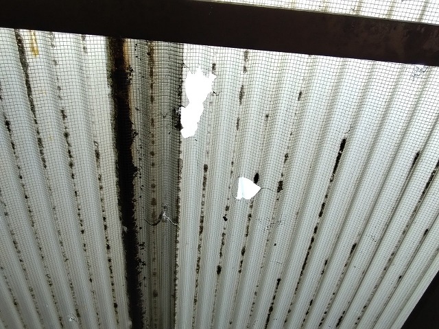 姫路市　カーポートポリカ穴あき