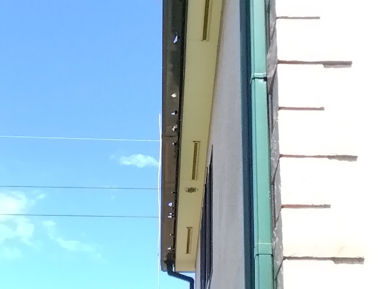 明石市　大屋根　雨樋(角樋)に貫通