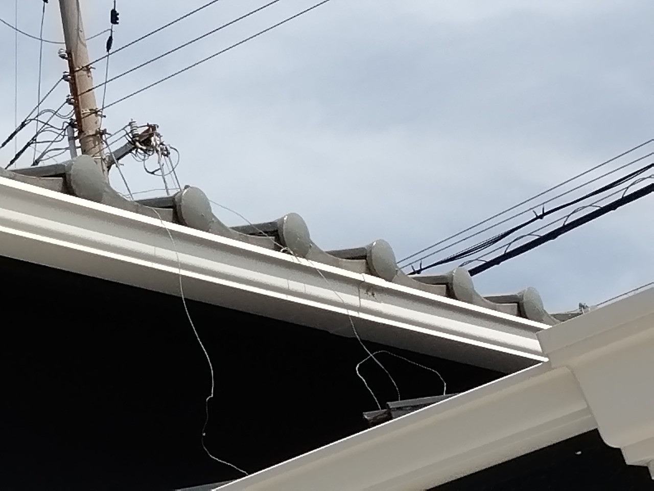 明石市　平屋のお家で雹被害！保険対応！和瓦屋根修理は、可能か？