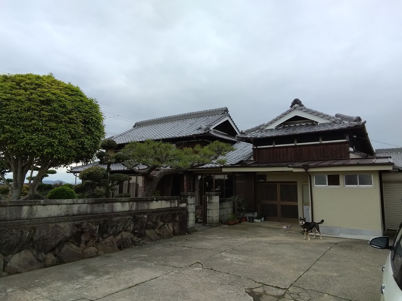 加古郡稲美町 雹被害で室内通路の波板屋根に穴!火災保険で安心修理