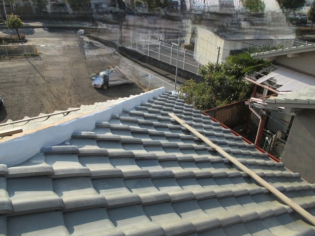 モルロック