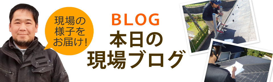 加古川市、高砂市、姫路市やその周辺エリア、その他地域のブログ