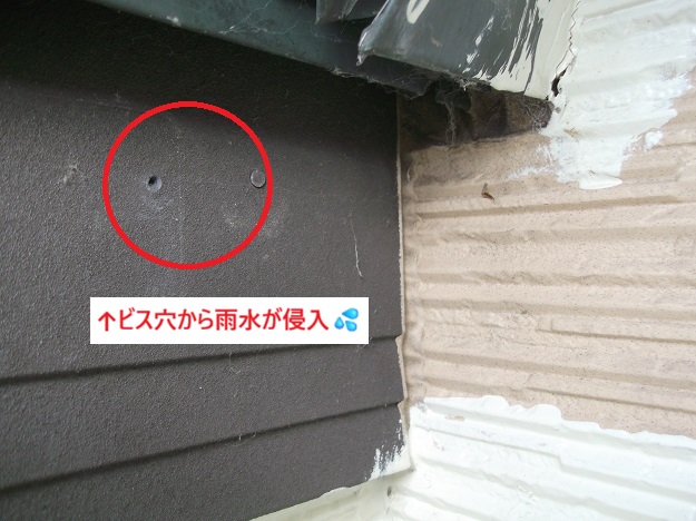 姫路市　雨樋　ビス穴　雨