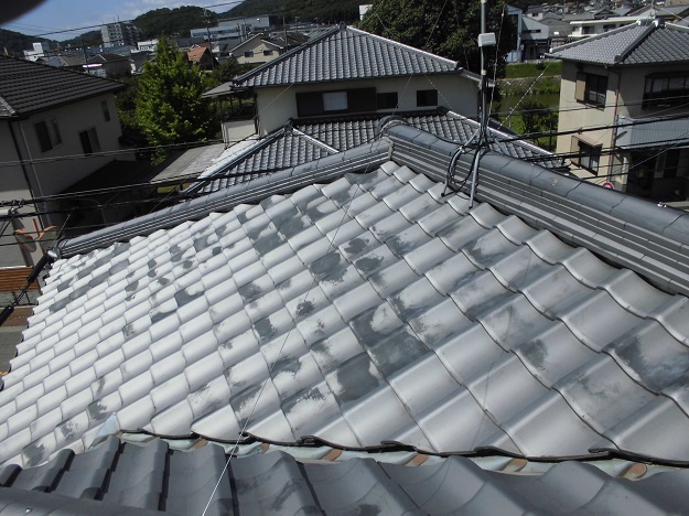 姫路市　谷板金　現地調査