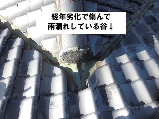姫路市　経年劣化　雨漏り　谷