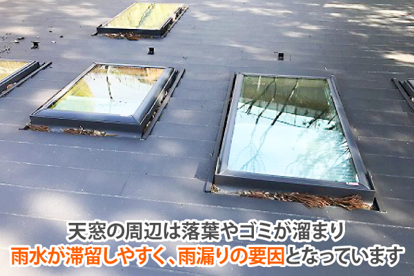 天窓劣化