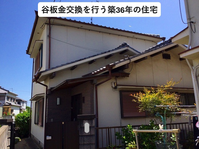 谷板金交換を行う築３６年の住宅