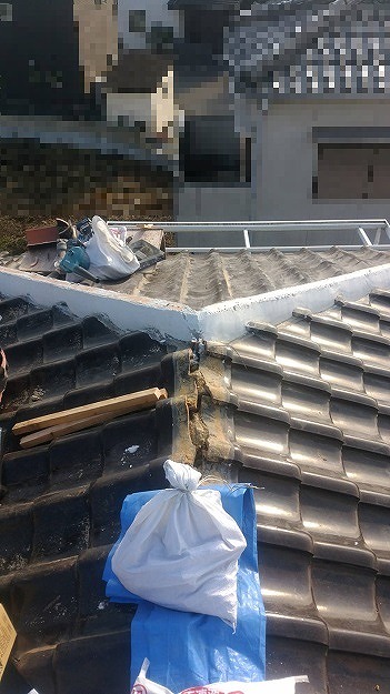 モルロックの塗り込み