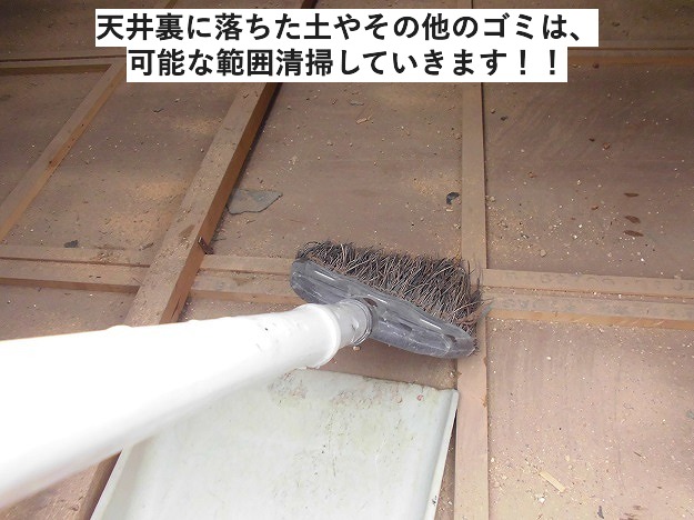 天井裏掃除