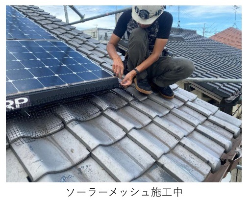 加古川市　ソーラーメッシュ　ハト対策