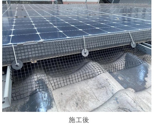 加古川市　ソーラーメッシュ　ハト対策　施工　完了