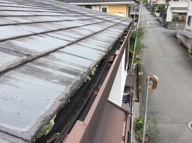 姫路市　軒先のコケと軒樋
