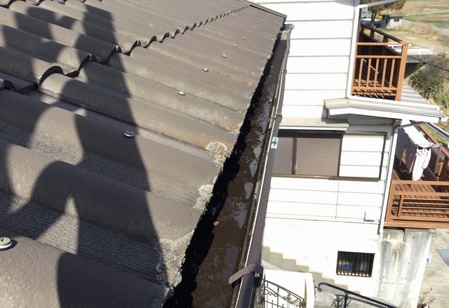 姫路市　軒先雨樋の滞留水