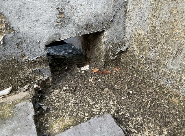 高砂市　排水口まわりの堆積物