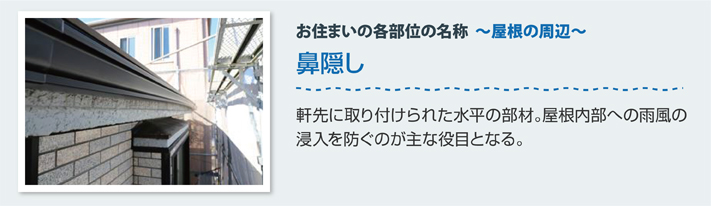 屋根の各部位　鼻隠し：軒先に取り付けられた部材。屋根内部への雨風の侵入を防ぎます