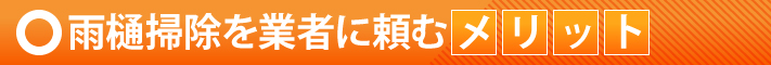 雨樋掃除を業者に頼むメリット